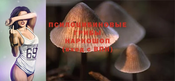 эйфоретик Зеленокумск