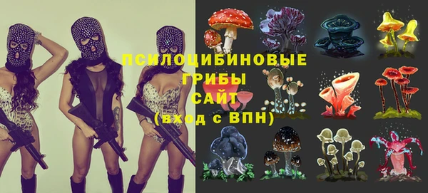 эйфоретик Зеленокумск