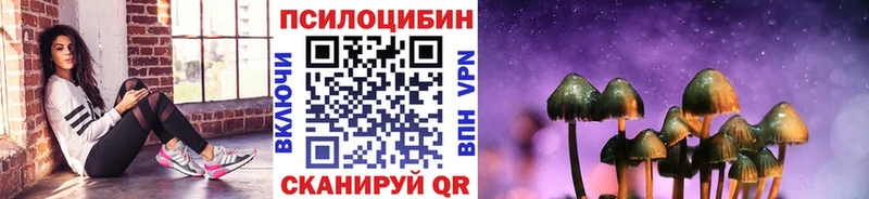 Купить где  Фатеж  Галлюциногенные грибы GOLDEN TEACHER 